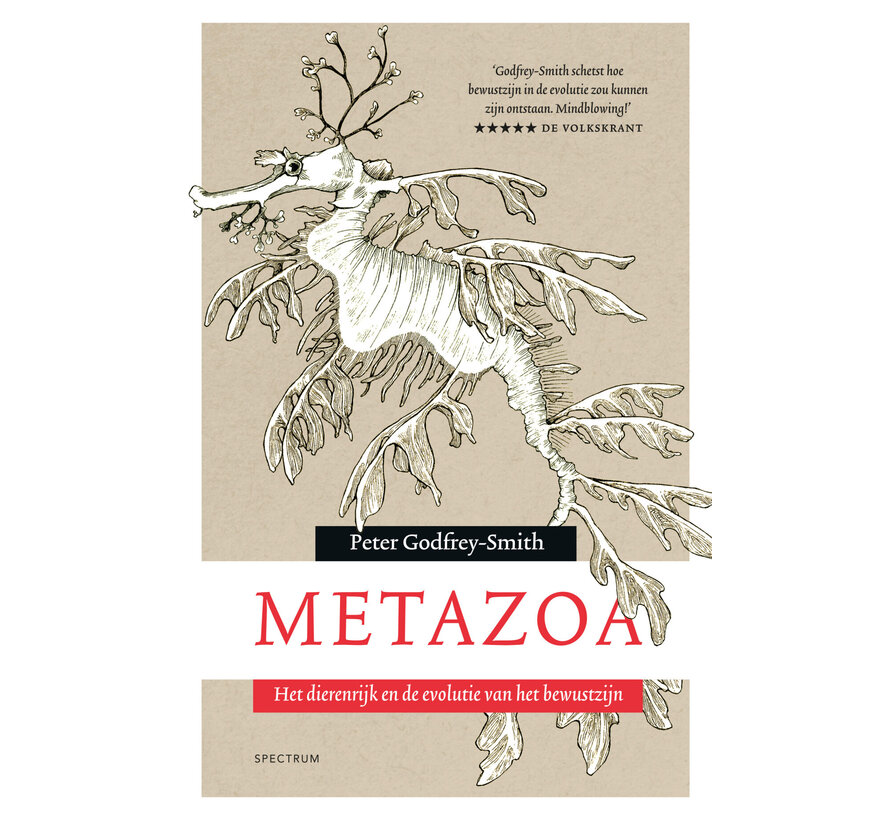 Metazoa
