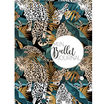 Nieuw binnen Mijn Bullet Journal