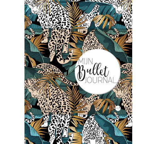 Nieuw binnen Mijn Bullet Journal