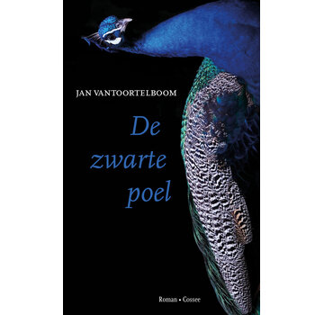 Nieuw binnen De zwarte poel
