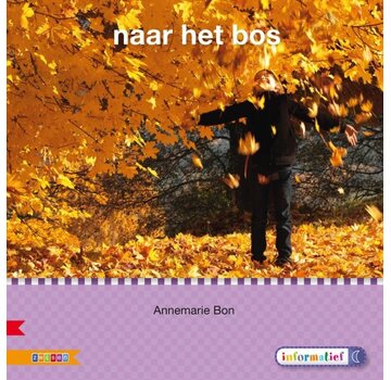 Veilig leren lezen Kern 5