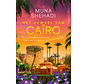 De verloren schatten 2 - Het juweel van Caïro