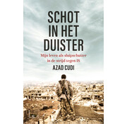 Schot in het duister