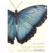 Een spectaculaire wereld van vlinders