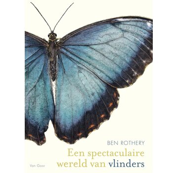 Een spectaculaire wereld van vlinders