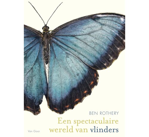 Nieuw binnen Een spectaculaire wereld van vlinders