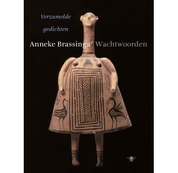 Wachtwoorden