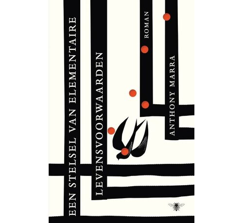 Nieuw binnen Een stelsel van elementaire levensvoorwaarden