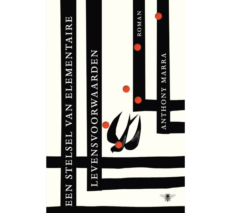 Een stelsel van elementaire levensvoorwaarden