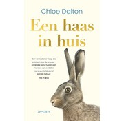 Nieuw binnen Een haas in huis