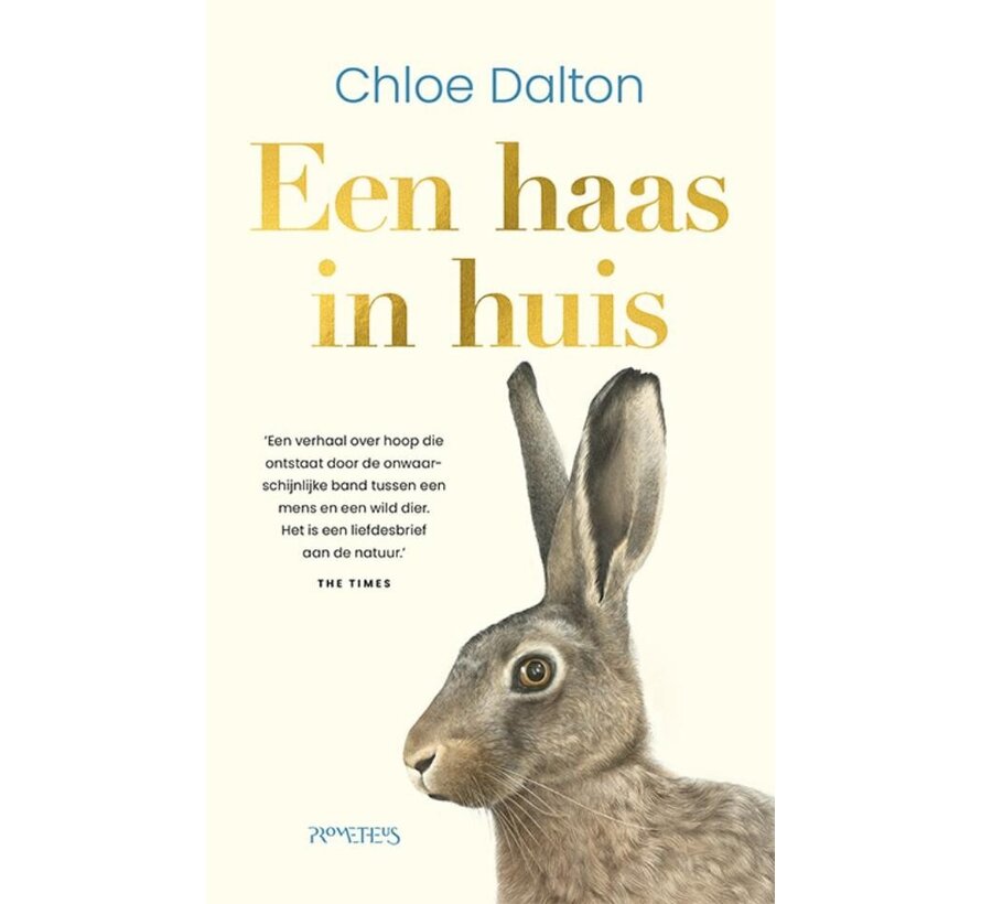 Een haas in huis