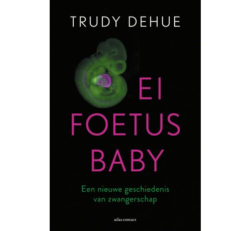 Nieuw binnen Ei, foetus, baby