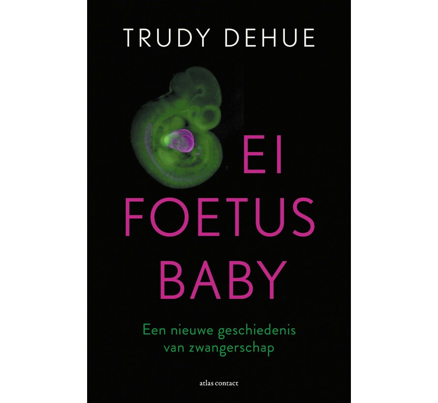 Ei, foetus, baby