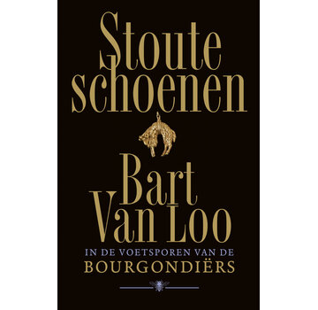 Nieuw binnen Stoute schoenen