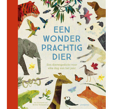 Nieuw binnen Voorleesbundels - Een wonderprachtig dier