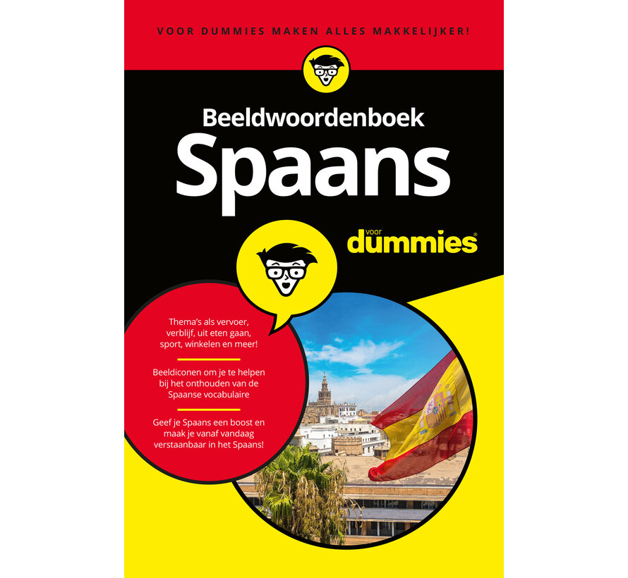 Voor Dummies - Spaans beeldwoordenboek voor dummies