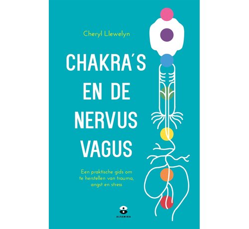 Nieuw binnen Chakra's en de nervus vagus