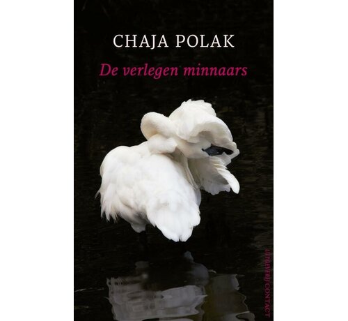 Nieuw binnen De verlegen minnaars