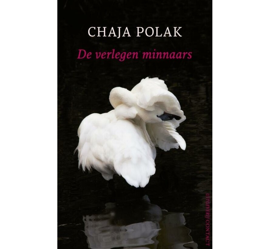 De verlegen minnaars