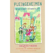 Pleingeheimen
