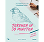 Tekenen in 30 minuten