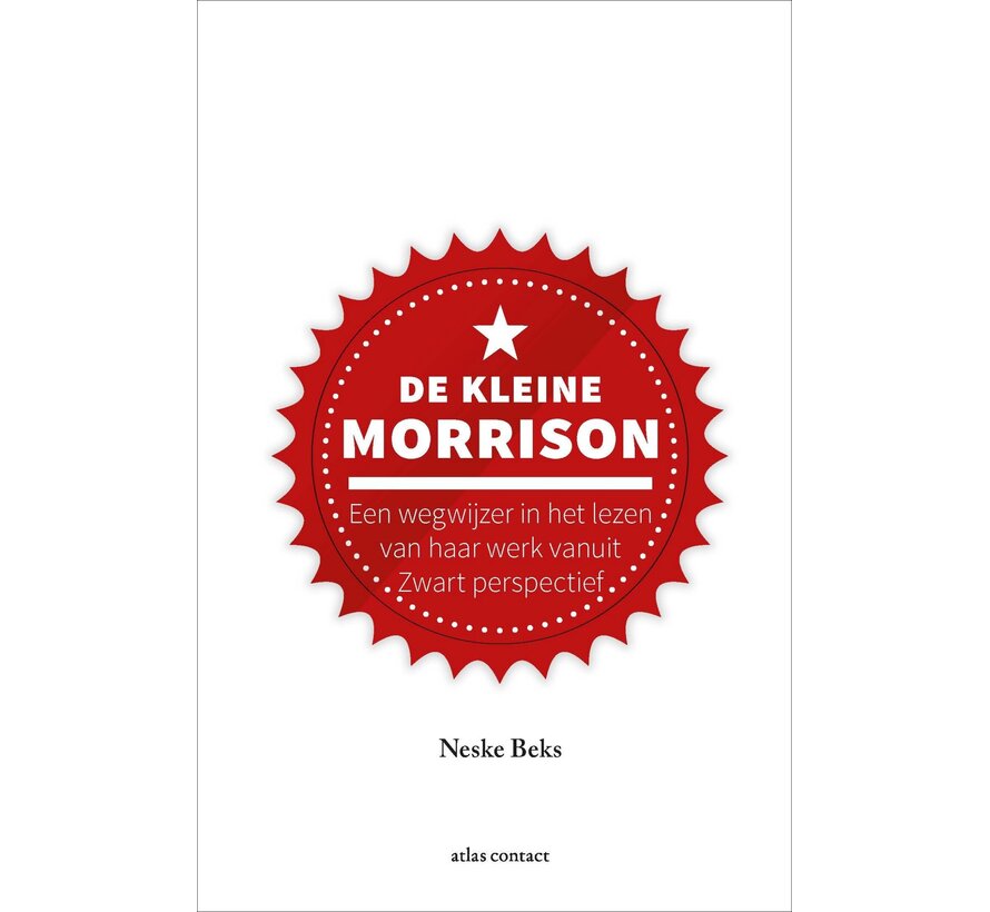 Kleine boekjes - grote inzichten 1 - De kleine Morrison