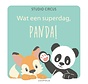 Panda en zijn vriendjes - Wat een superdag, Panda!