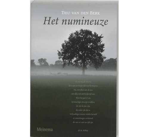 Het numineuze
