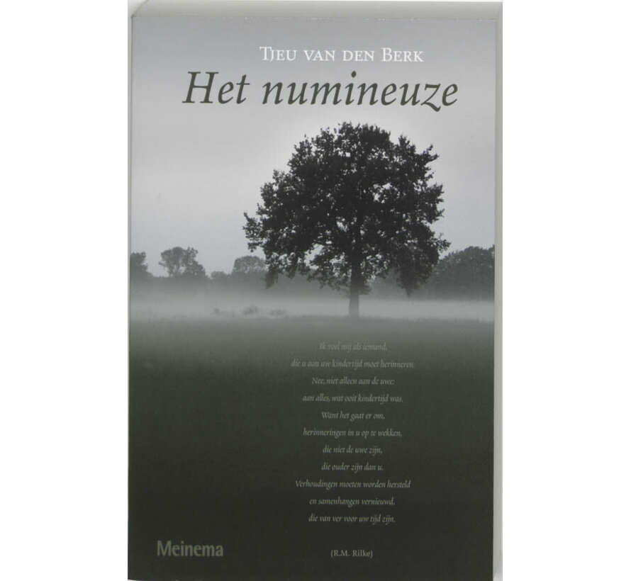 Het numineuze