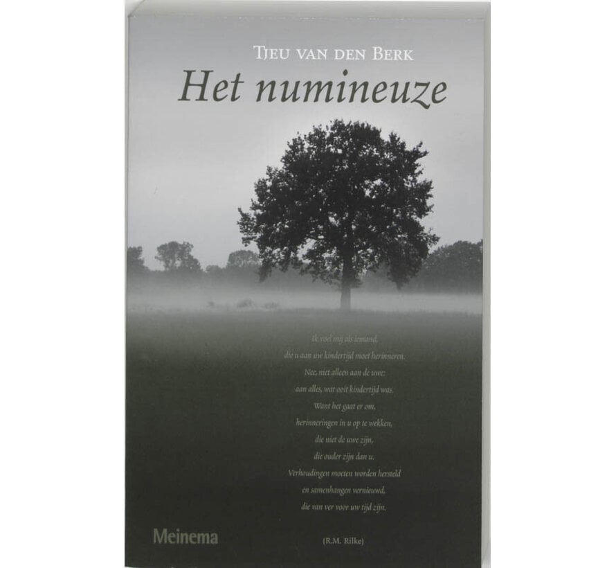 Het numineuze