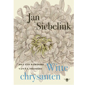 Nieuw binnen Witte chrysanten