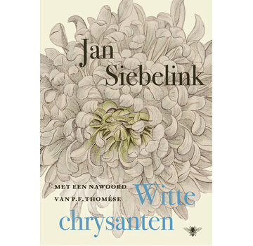 Witte chrysanten