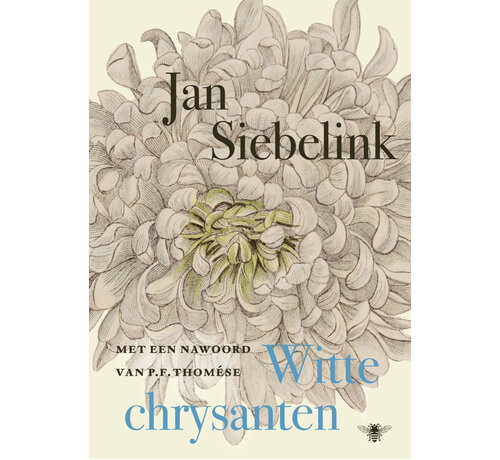 Witte chrysanten