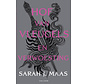 Hof van doorns en rozen 3 - Hof van vleugels en verwoesting