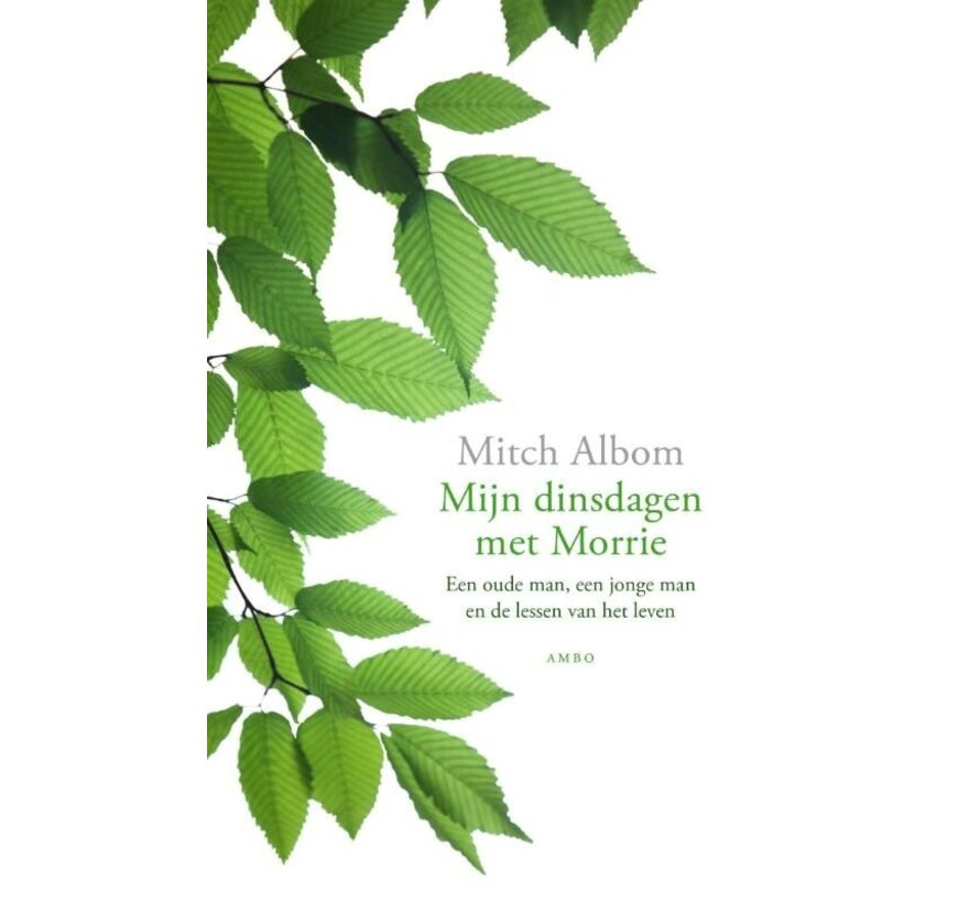Mijn dinsdagen met Morrie