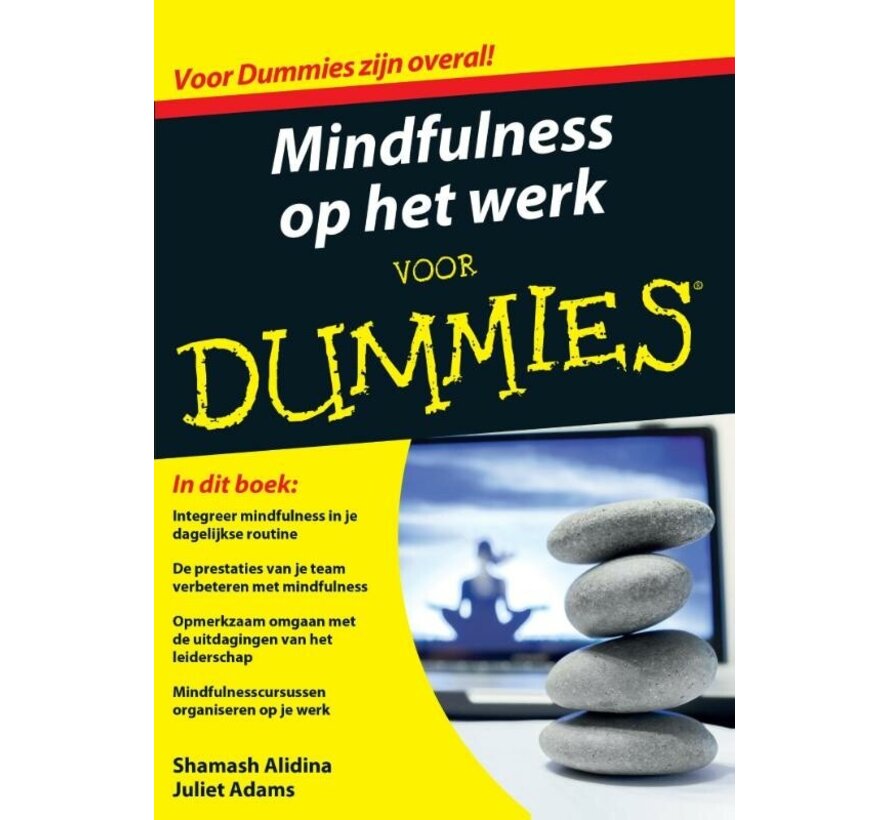 Mindfulness op het werk voor dummies