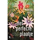 Het perfecte plaatje