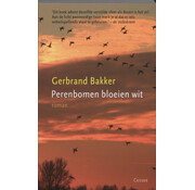 Nieuw binnen Perenbomen bloeien wit
