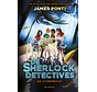 De Sherlock detectives 2 - De stormroof