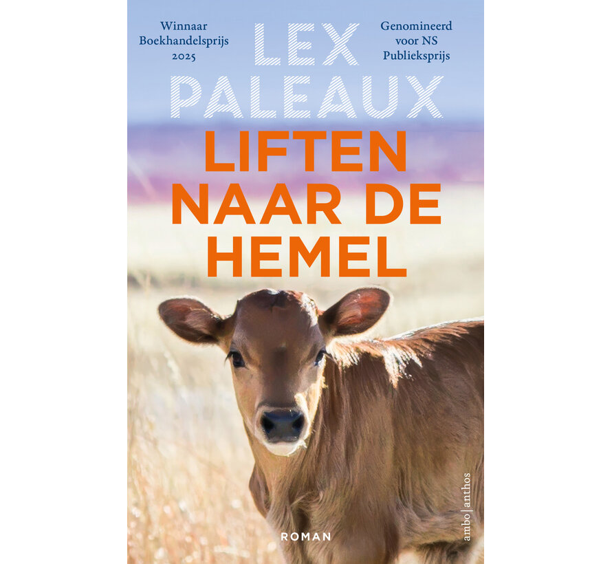 Liften naar de hemel