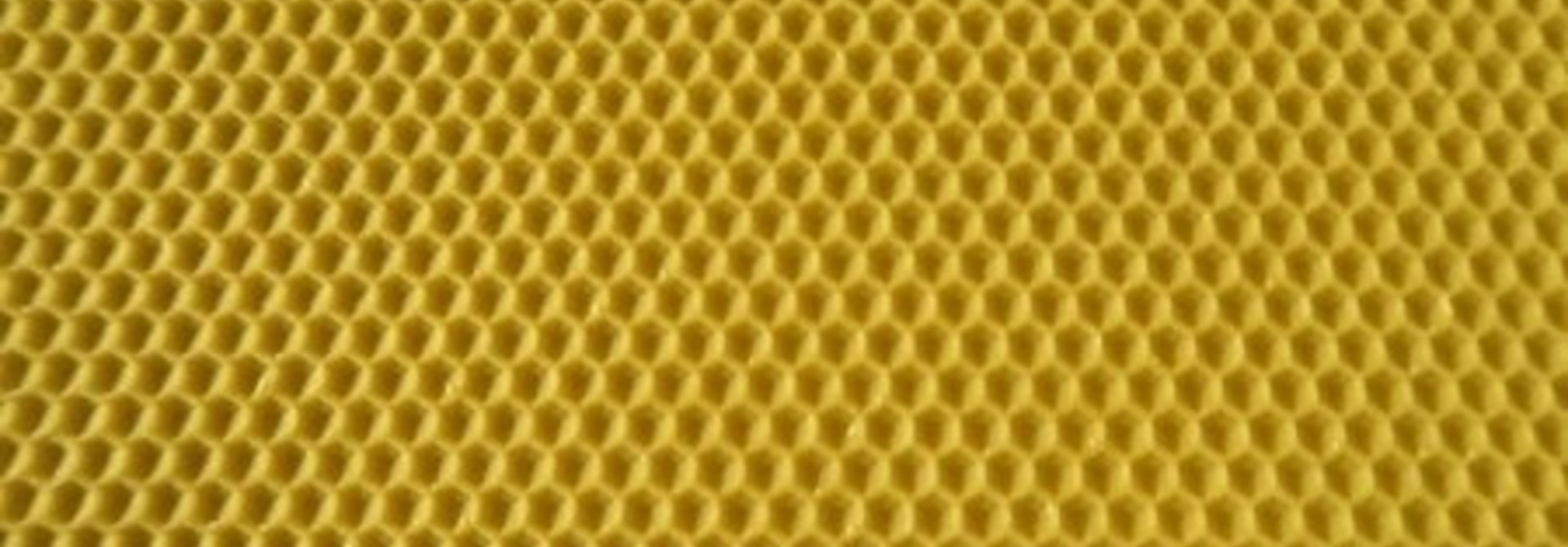 Feuilles en cire d'abeille certifiée - Langstroth