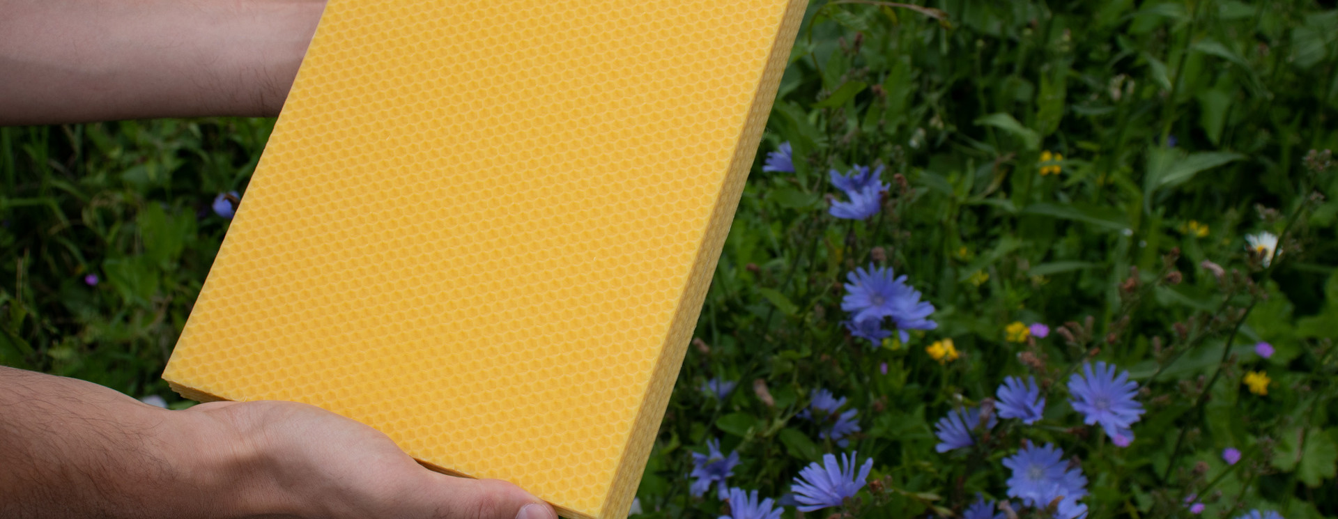 Beeswax