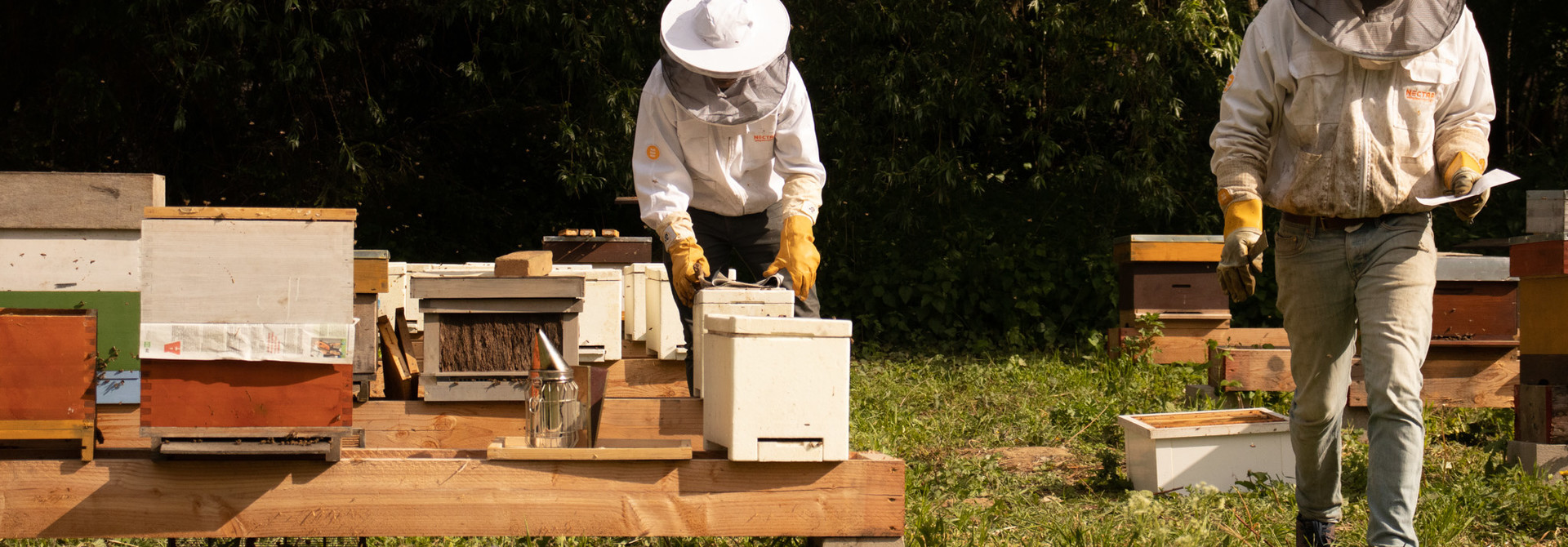 Ultimate starter kit + basic beekeeping course