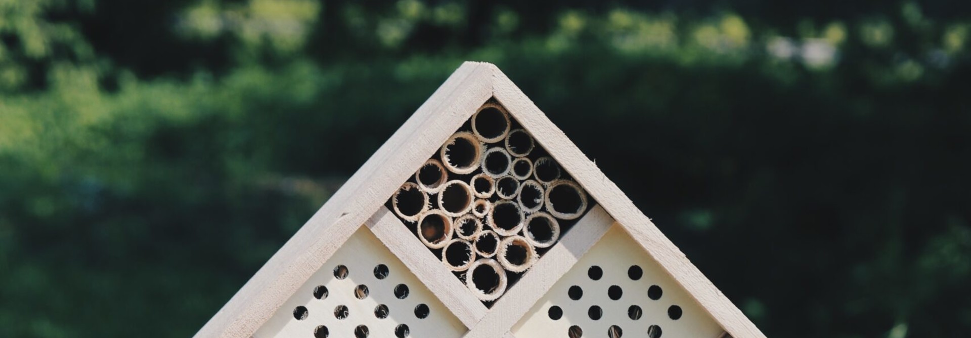 Bug hotel for insects (medium)