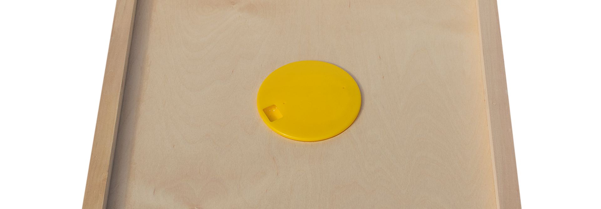Simplex bee escape