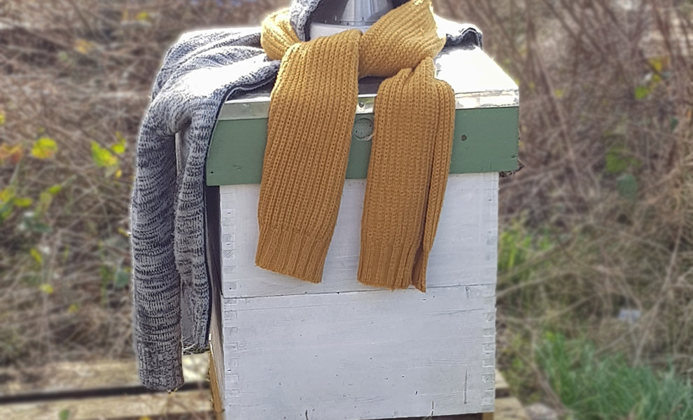 Puis-je ouvrir une ruche en hiver ?