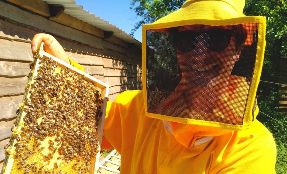 5 conseils Nectarist pour se lancer dans l’apiculture