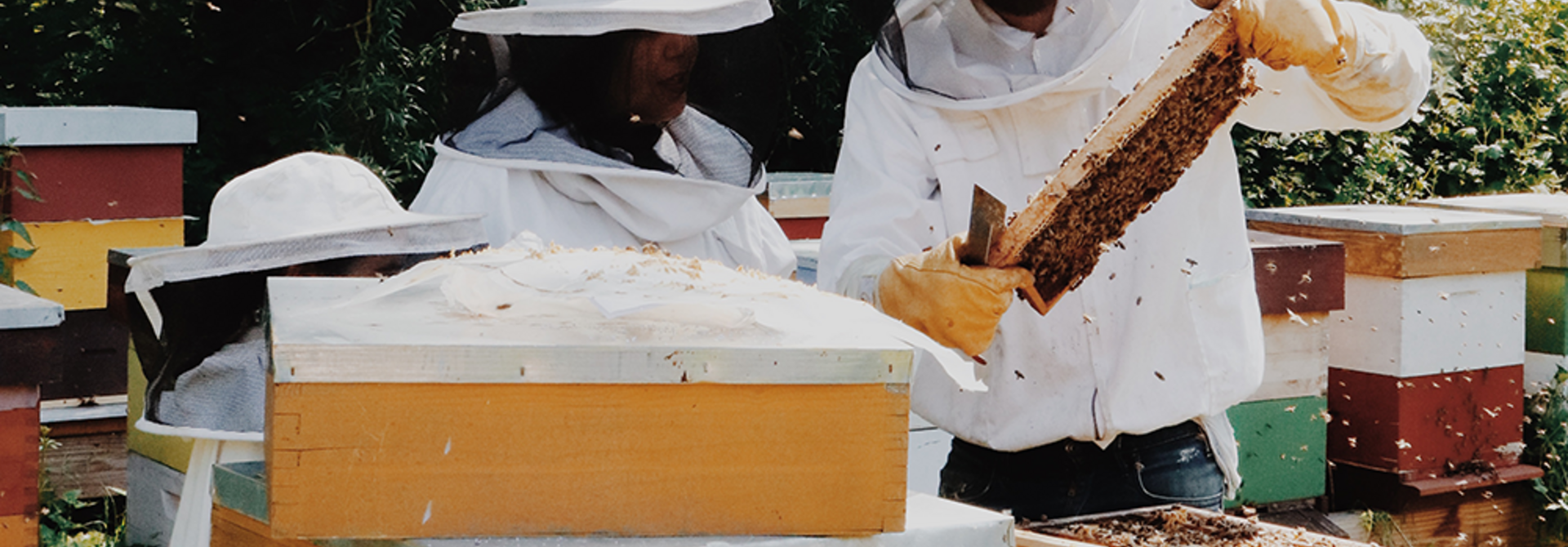 Adopt a Hive — exclusief duurzaam partnership