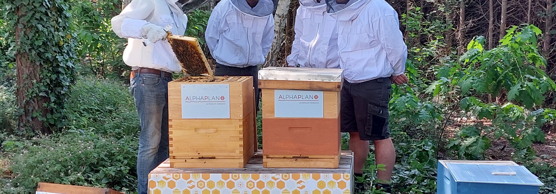 Corporate bijenkasten op locatie — samenwerking op maat