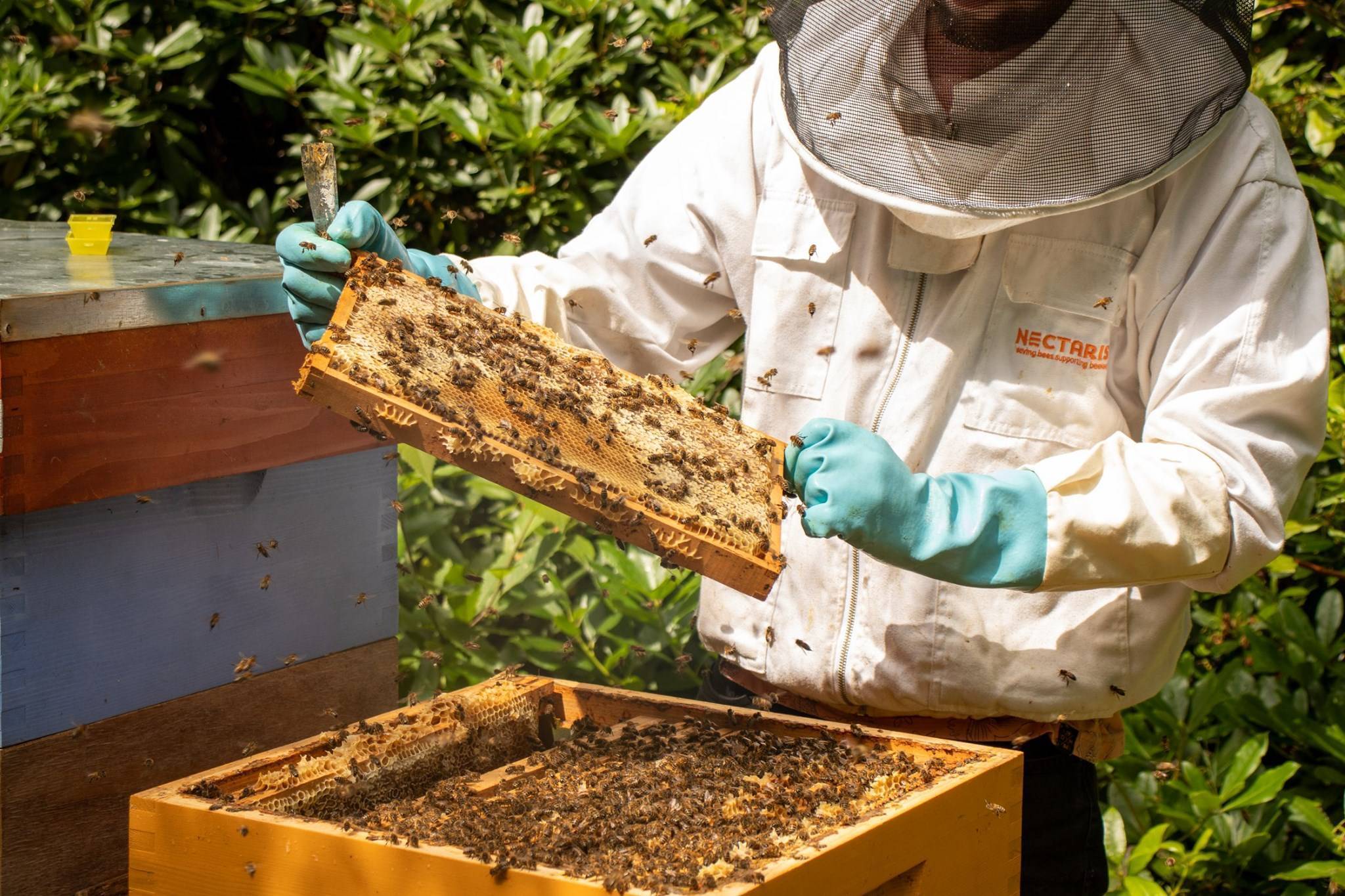 Ontdek onze seizoensboxen-1